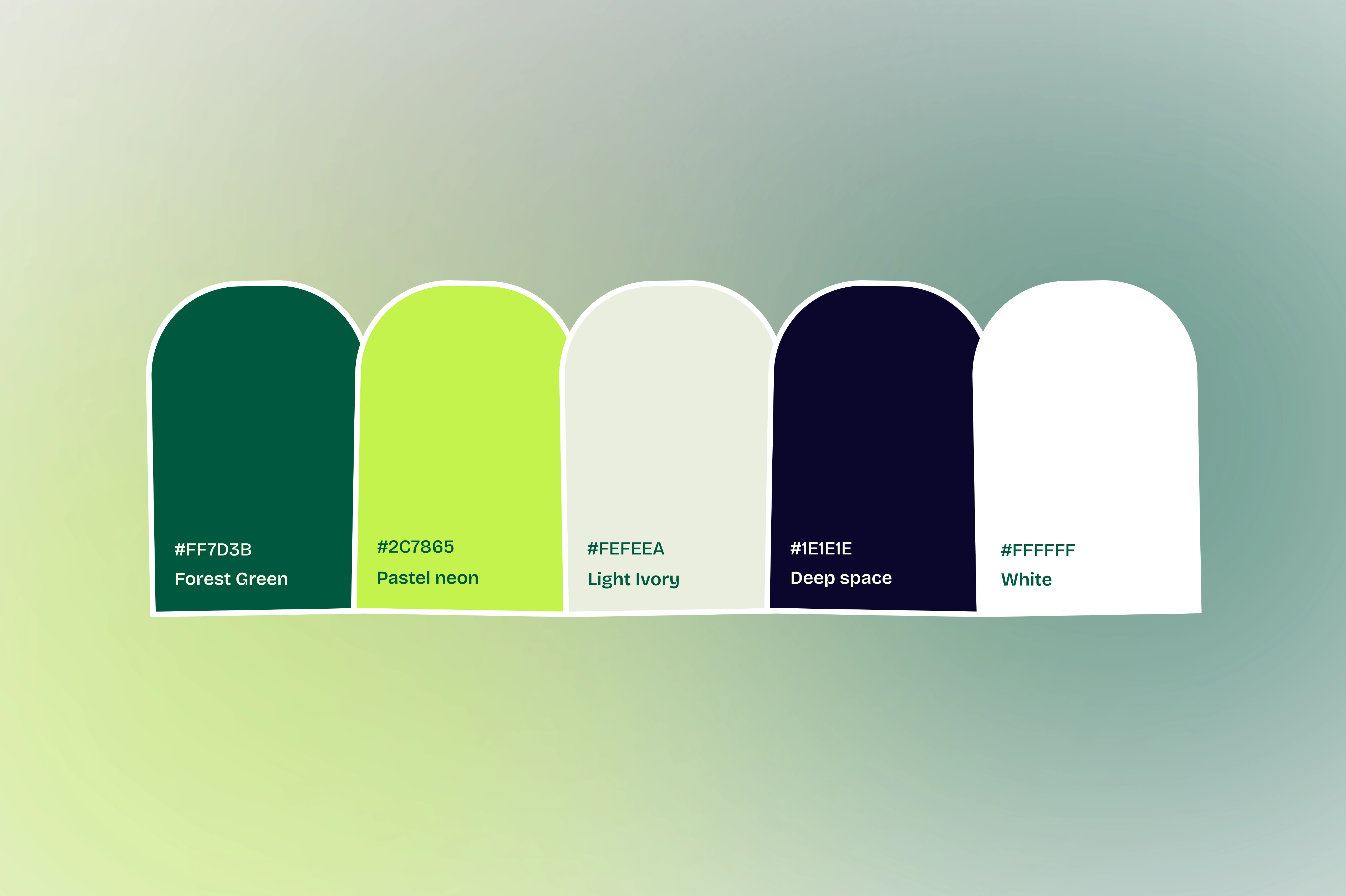 travv world - colors.webp